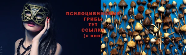 соль курить ск Балабаново