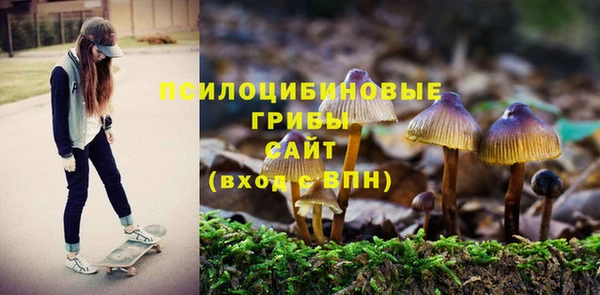 прущий лед Балахна